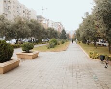 Xətai Xocalı parkinin yanı