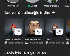 Roblox Hesabı