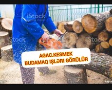 Agac kesmek budamaq işləri görülür