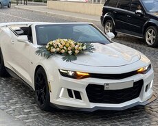 Camaro свадебный автомобиль в аренду