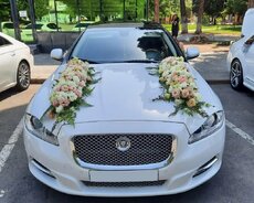 Jaguar Xj kirayə gelin maşıni