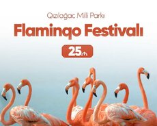 Lənkəran Flaminqo Festivalı 7 Dekabr