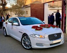 Jaguar Xj kirayə bey gelin maşıni