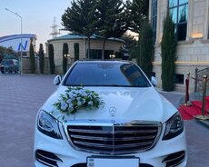 Sclass bey gelin kirayə maşıni verilir