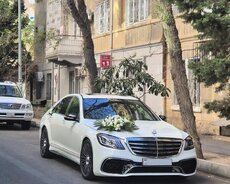 Maybach kirayə gelin maşıni