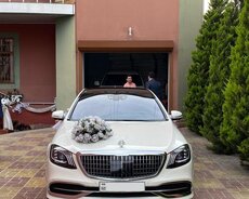 Maybach kirayə gelin maşıni