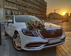 Maybach свадебный автомобиль в аренду