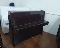 Petrof Fortepiano