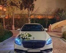 Maybach kirayə bey gelin maşıni