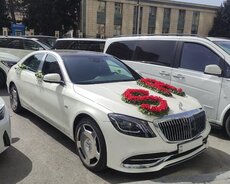 Maybach kirayə bey gelin maşıni