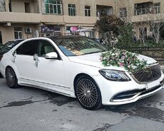 Sclass Mercedes Maybach kirayə gelin maşıni