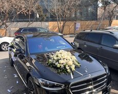 Mercedes Sclass kirayəsi w223