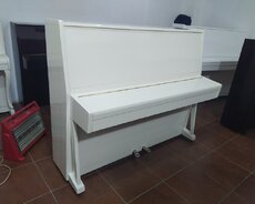 Украина Piano