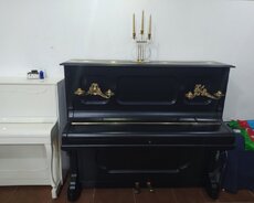 Antik Alman Piano