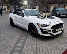 Ford Mustang Cupe toy maşıni sifarişi