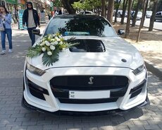 Ford Mustang Cupe toy maşıni sifarişi