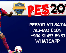 Pes 2013