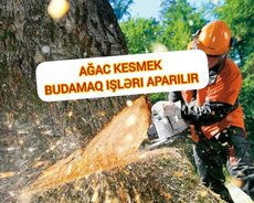 Ağac kesmek budamaq işləri aparılır