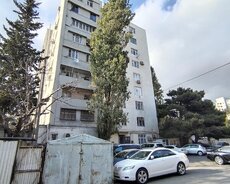 20 Yanavar m/st. 14 saylı Notariat Ofisi