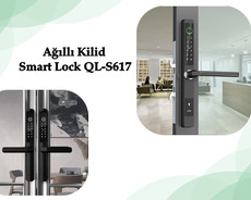 Ağıllı Kilid Smart Lock Ql-s617