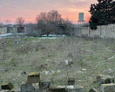 Nardaran (ləhiş Bağlari) "sea Breeze"