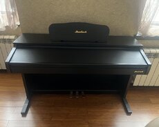 Elektron piano Steinbach