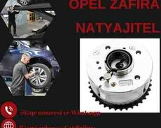 Opel taramlayıcı