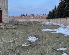 Nardaran qəs (ləhiş Bağlari) "sea Breeze"