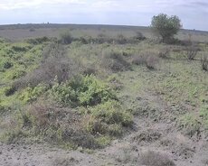Siyəzən rayonunda 360 ha torpaq sahəsi
