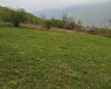 Torpaq sahəsi satılır qiyməti razılaşma yolu