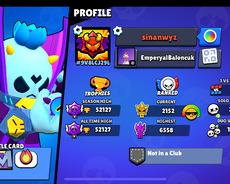Brawl hesabi