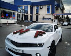 Camaro