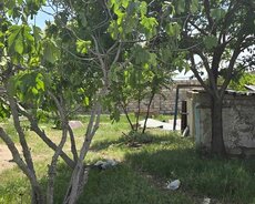 2 sot torpaq sahəsi