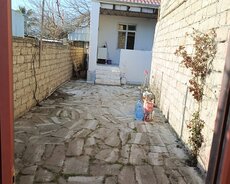 həyət evi senedli