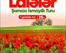 İsmayıllı Şamaxı Lalələr turu