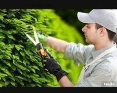 Bağban gözətçi işi axtarıram