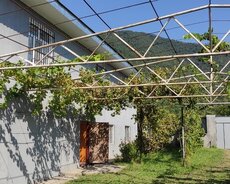 Qumda kirayə evlər