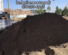Qara torpaq və peyin