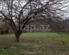 Ağstafa Şəhəri Dağkəsəmən kəndi