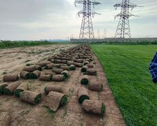 Реклама владельца газона