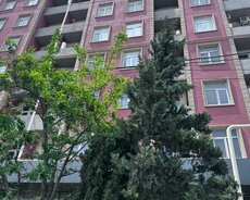 поселок Масазыр
