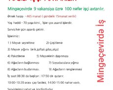 Mingəçevirde is