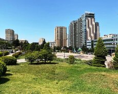 E.akademiyasi m/st, Mətbuat prospekti