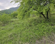 Qəbələ rayonu, Bum qəsəbəsində torpaq satılır