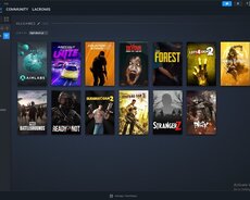 Steam hesabı satıram