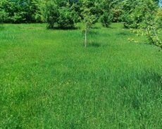 Продается участок земли площадью 10 соток в селе Хил, Гусарского района