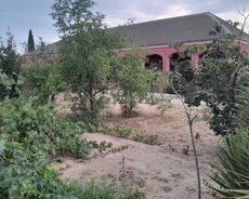 Buzovna yolu