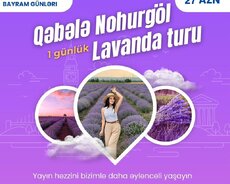 Qəbələ Lavanda çiçək turu