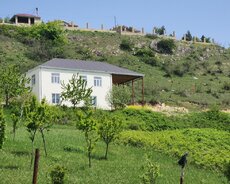 Meyseri kendi
