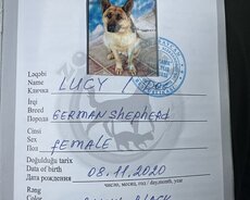 Alman afçarkası